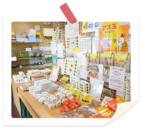 卵菓屋内装 卵菓屋内装